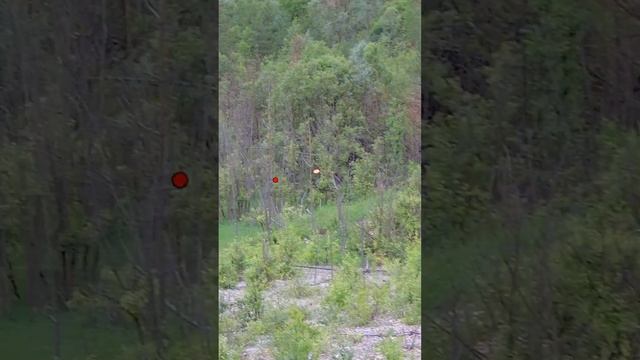 Учу стрельбе по улетающей утке в парк отеле Цитадель Тула смотреть онлайн