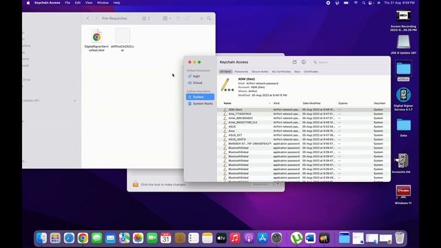 DSC Configuring on MacOS for eOffice смотреть онлайн