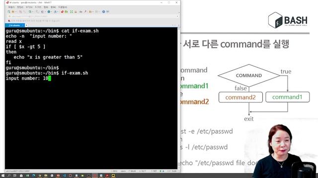 [따배셸] 8. Branching смотреть онлайн