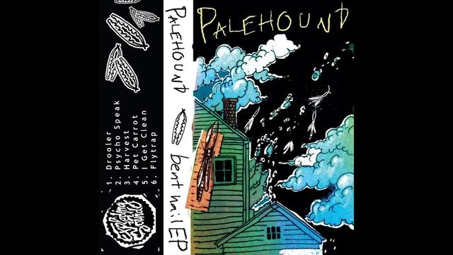 Palehound - "Pet Carrot" смотреть онлайн