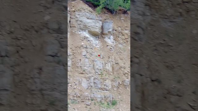 Учу стрельбе по боковой летящей дичи в парк отеле Цитадель Тула смотреть онлайн