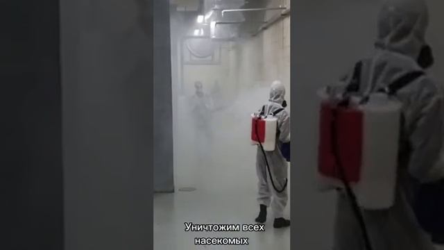 дезинфекция Караганда чёрный кот Горячий туман смотреть онлайн