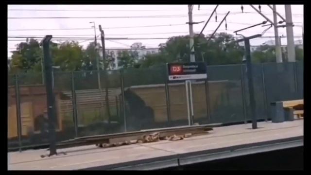 МЦД 3 за несколько дней до открытия смотреть онлайн