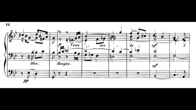 Gustav Adolf Merkel - Op. 30, Organ Sonata No. 1 in D minor (for 4 hands) w/ sheet music смотреть онлайн