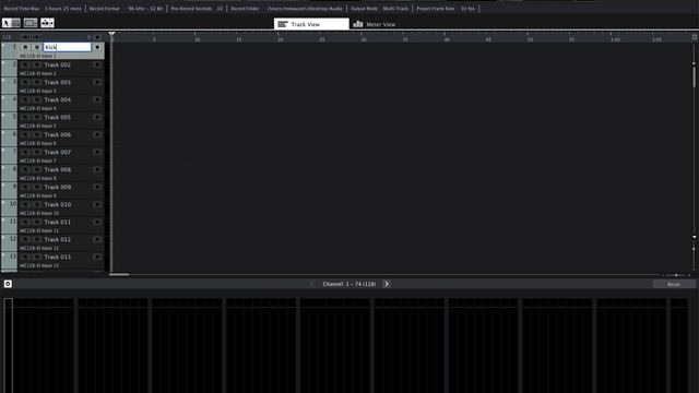 Nuendo Live 2 Master Class: 1. Project Setup смотреть онлайн