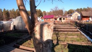 Вот она весна пришла, как параноя...