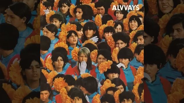 Alvvays - Adult Diversion смотреть онлайн