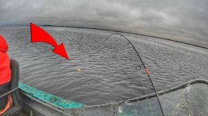 Рыбалка на реке Свирь| Эта  рыба пришла внезапно | Осенняя рыбалка на спиннинг 2022