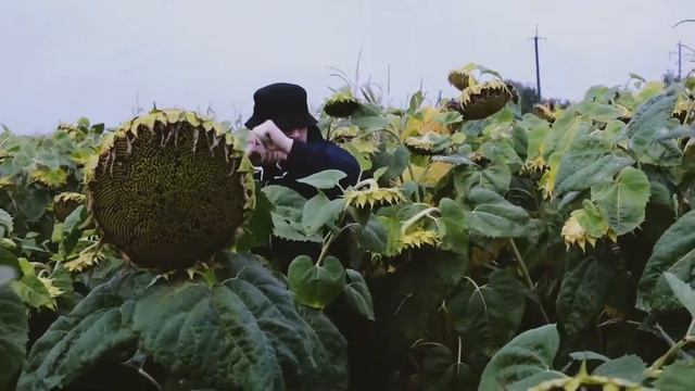 Агроганстаклип смотреть онлайн