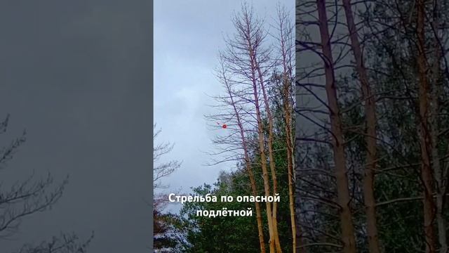 Стрельба по подлётной мишени в Спортинг клубе Румянцево смотреть онлайн