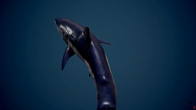 Shortfin Mako Shark Diorama смотреть онлайн