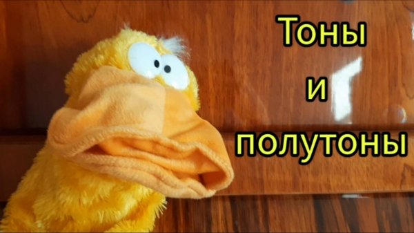 Тон и полутон - для детей