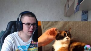 ЭТО не СЛИВКИ ШОУ ||RYTP\\_ РЕАКЦИЯ НА ВЛЕДА