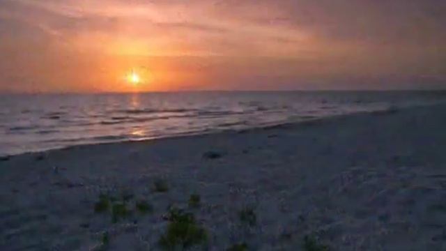 SONGBIRD with lyrics ..... performed by Eva Cassidy смотреть онлайн