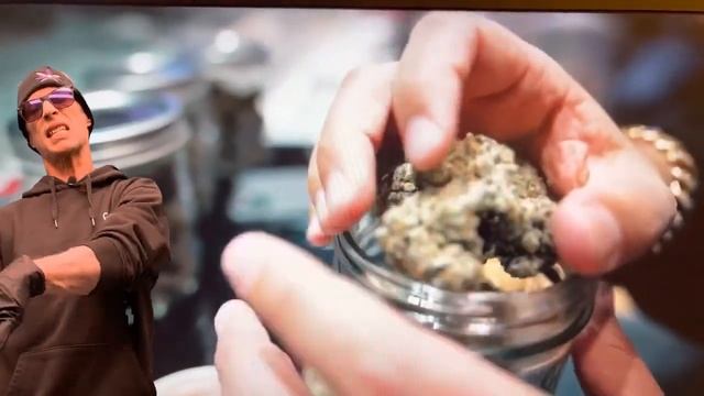 BIG APPLE Seed Junky’s Latest Drop | Berner Knows #seedjunky #NYC #cookies смотреть онлайн