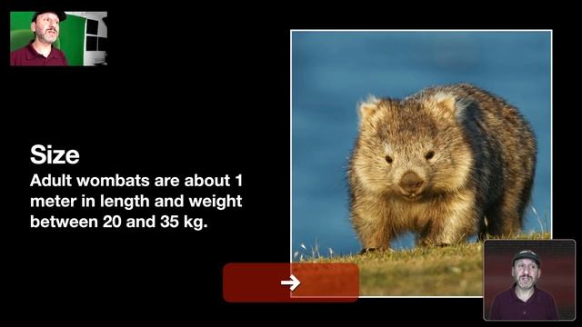 Using Live Video in Mac Keynote смотреть онлайн