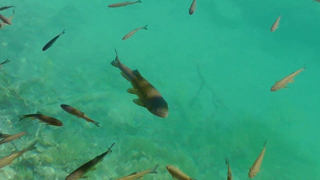 Plitvička Jezera Croatia (Panasonic HDC-SD90) 2011 08 12 смотреть онлайн