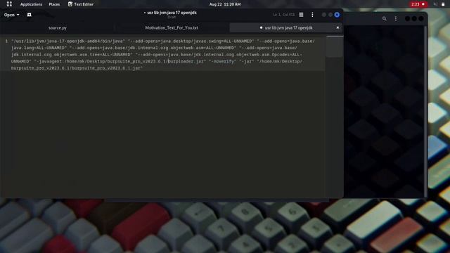 How To Install And Setup Burpsuite Pro For Free.💯