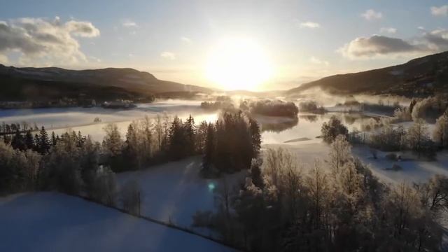 Dalen 2021 смотреть онлайн