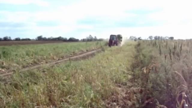 Silózás, Claas Jaguar 870, John Deere 6410, 8130, MTZ 80, 82 смотреть онлайн