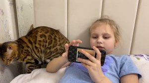 ВЛОГ НАШ СЕМЕЙНЫЙ ВЕЧЕР ! Моя новая ПРИЧЁСКА ! Познакомили кошку Бьянку с Синди ! Мили Ванили