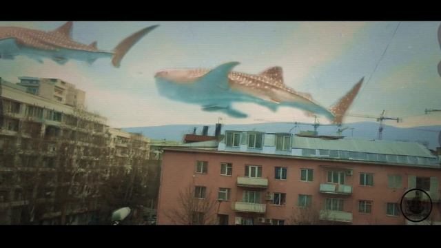 Whales can fly ...up&up view from my window смотреть онлайн