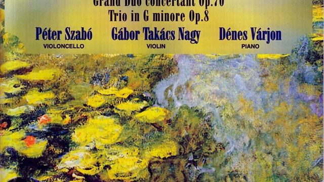 Sonata in G minore for Violoncello and Piano - Finale. Allegro смотреть онлайн