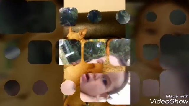 Maco mamuko 2017 nikolasz смотреть онлайн