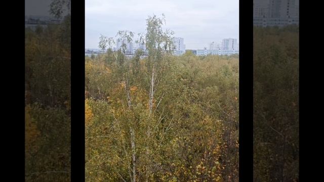 Сдаю 2х-комнатную квартиру в Москве. Чертаново Центральное. На длительный срок смотреть онлайн