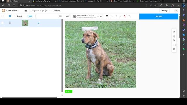 how to label images and audio using label studio for object detection and audio classification смотреть онлайн