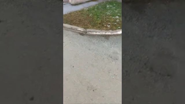 13 квартал у нас ужас полысаево жесть
