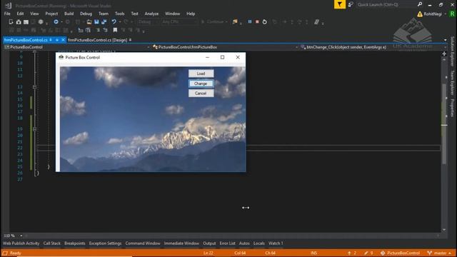 Picture Box Control in Visual Studio C# смотреть онлайн