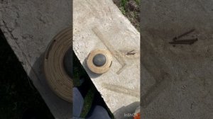 Обзор триммеров штиль fs55, fs120, fs 450, fs560