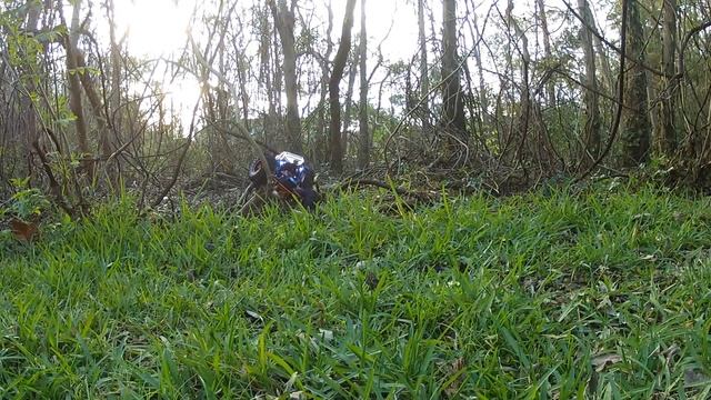 Exceed Rc Mad Torque Crawling Fun pt.1 смотреть онлайн