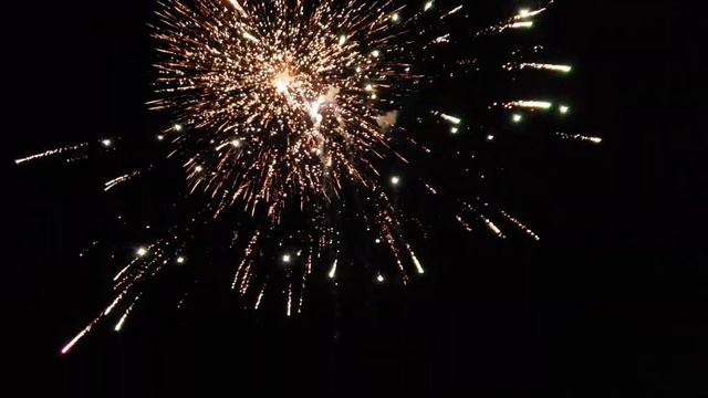 Giant Panda(2021) - 60g Canisters - Giant Panda/Red Apple Fireworks смотреть онлайн