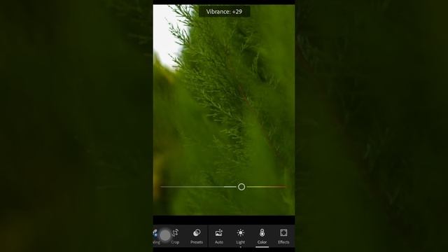 Which is better apple photos or Lightroom смотреть онлайн