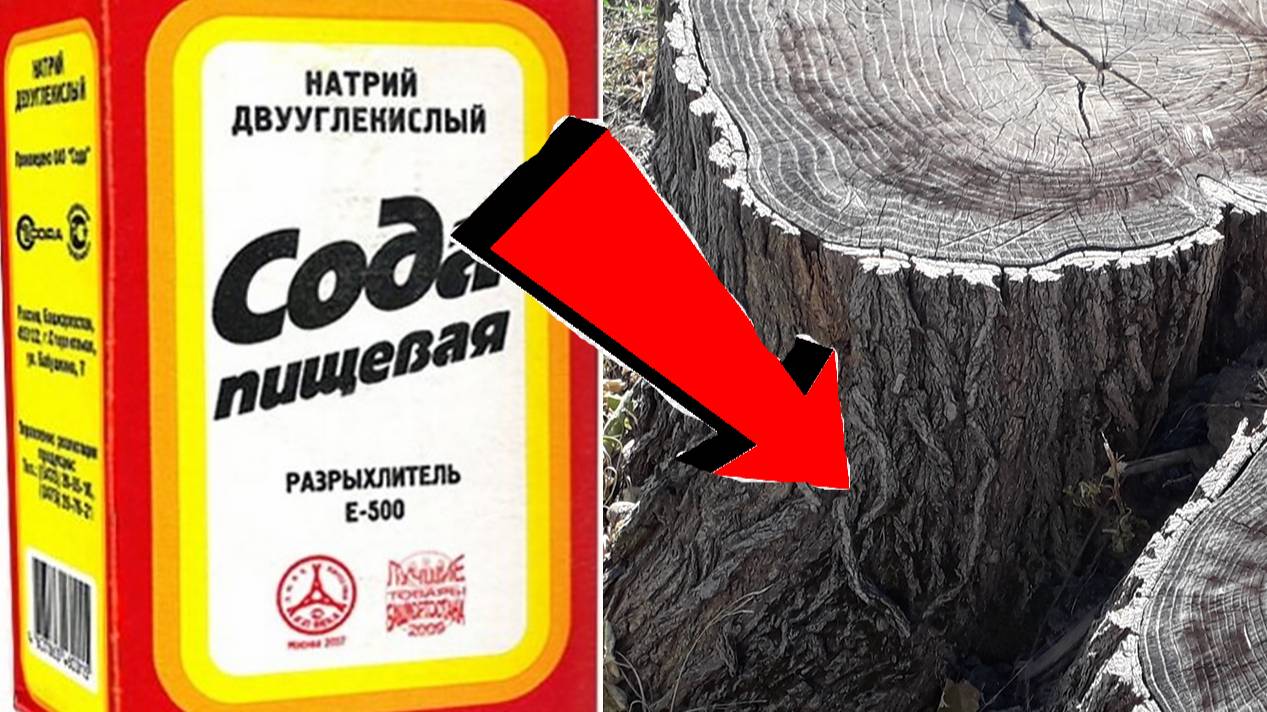 ПОЛЕЗНЫЕ СОВЕТЫ