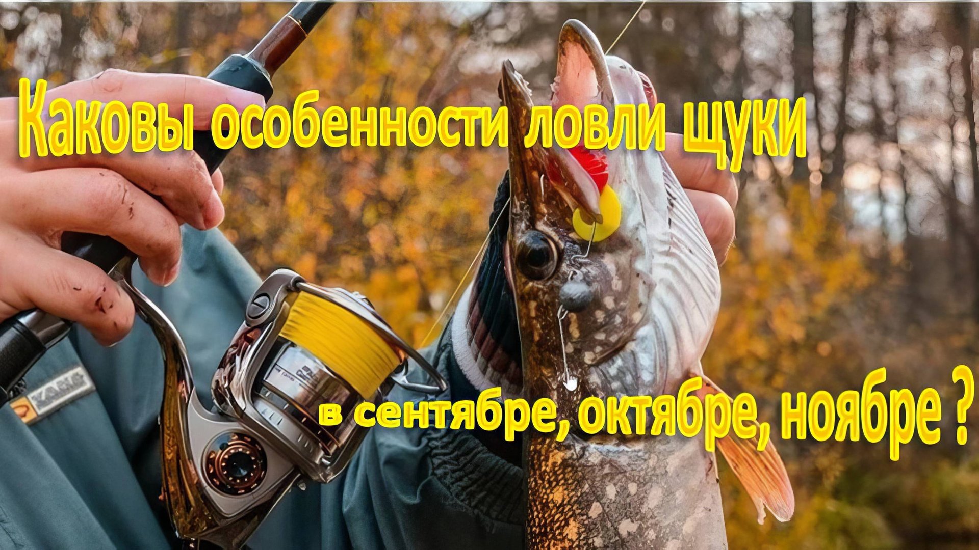 Каковы особенности ловли щуки в сентябре, октябре, ноябре смотреть онлайн