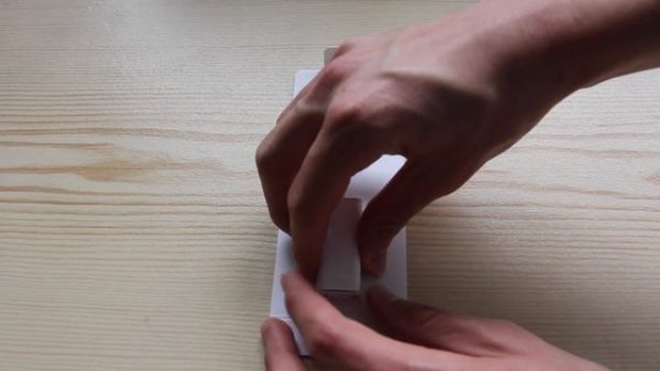 Apple Thunderbolt to FireWire Adapter Unboxing and Demo