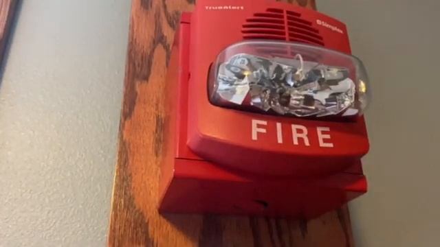 Simplex 4906-9127 TrueAlert Horn Strobe Multi-Candela Test/Demo смотреть онлайн