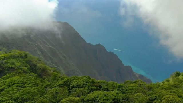 "Утренние подсказки". 23 октября. Мелоди Битти. Ежедневник для созависимых. смотреть онлайн