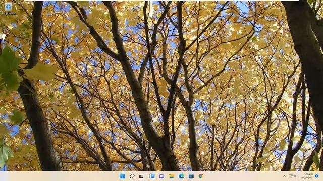 Fix: Windows Could Not Find a Driver for Your Network Adapter (Solved) смотреть онлайн