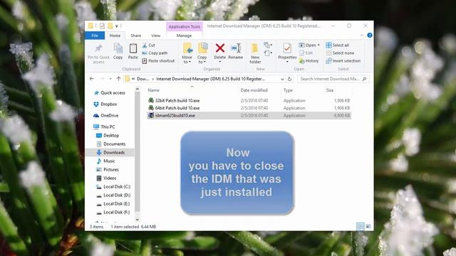 Internet Download Manager (IDM) 6.25 Build 10 Registered (32bit + 64bit Patch) смотреть онлайн