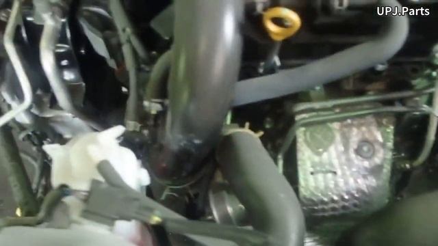 トヨタ ライズ(A200A) エンジン始動テスト Z Toyota Raize 1KR-VET エンジン音 サウンド【UPJ】