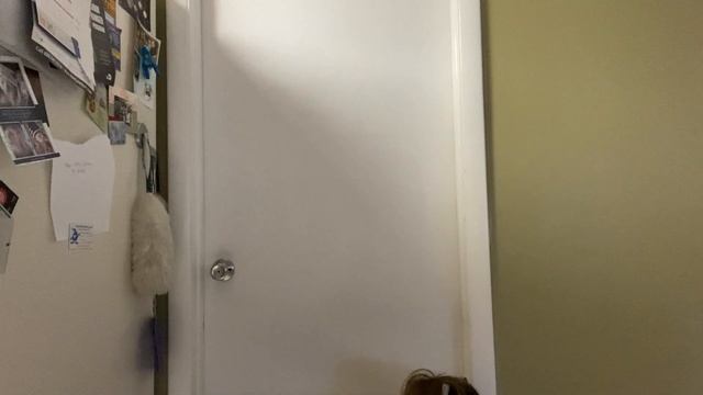 ASMR!! Cleaning Vlog!! 🧽🧼🦠Cleaning Doors & Windows!! Part 1 смотреть онлайн