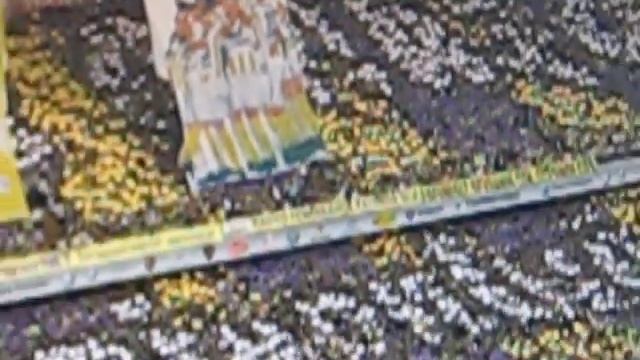 Fenerbahçe-Ankaragücü maçı öncesi смотреть онлайн