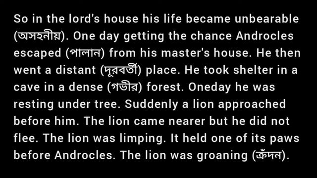 Androcles and the lion / A Slave of Rome / Story Writing for Students / VIDEO 1 смотреть онлайн