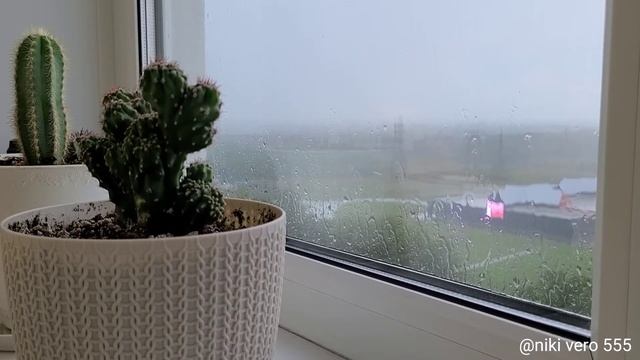 Quick sleep at the window to the sounds of summer rain.Сон под звуки летнего дождя.☔ смотреть онлайн