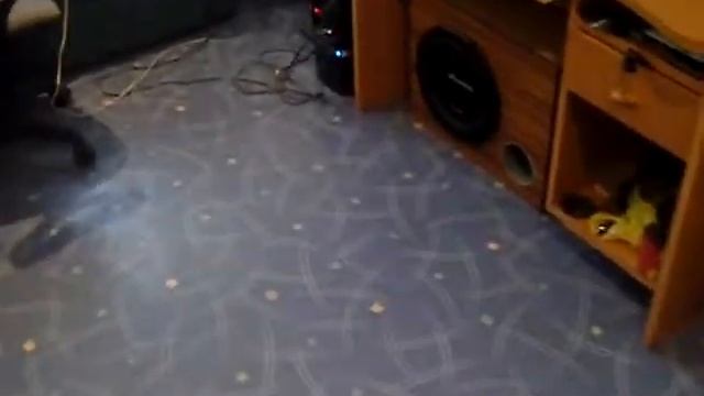 Pioneer TS-W303R смотреть онлайн