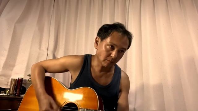 Seven wonders / Fleetwood Mac （cover） смотреть онлайн